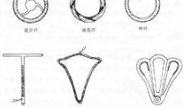 上节育环视频在线观看,在线观看科普视频解析
