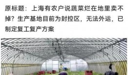 辽宁援沪爆料最新消息,抗疫一线的感人瞬间与挑战纪实