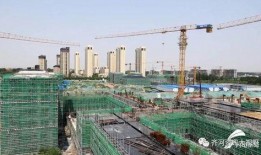 今日德州爆料新闻最新情况,重大事件引发社会关注