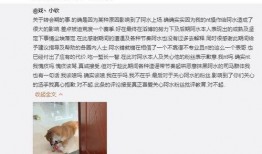 edg瓜最新事件爆料,揭秘战队内部风云与选手心路历程