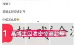 爆料博主被骂视频下载,视频下载引发网络争议
