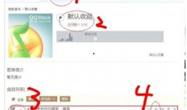 爆料视频怎么添加音乐,如何利用爆料视频轻松添加音乐，打造个性化短视频