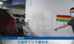 重庆杨先生最新爆料,揭秘事件背后惊人真相