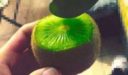 在哪里吃抖音网红的瓜,探寻隐藏在短视频中的美食秘密