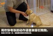 狗崽爆料视频大全最新版,最新版揭秘娱乐圈幕后真相