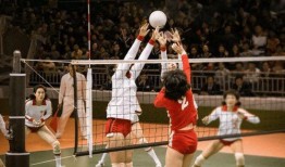 排球大咖爆料视频下载,独家爆料视频幕后故事