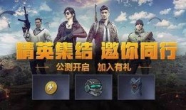 和平精英吃瓜爆料视频,揭秘吃瓜爆料视频背后的精彩瞬间