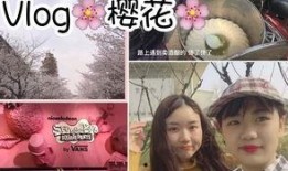 阙二姐视频爆料,娱乐圈背后惊人内幕