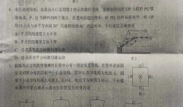 博士最新爆料新闻报道是真的吗,新闻报道真实性揭秘