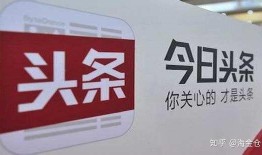 爆料王观察今日头条,揭秘平台运营幕后真相