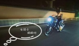 qj最新仿赛爆料,揭秘赛场风云，探寻顶尖高手对决背后的故事