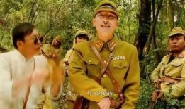 奸臣在线观看神马,权谋巅峰，暗流涌动的宫廷风云