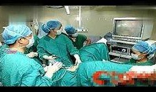 禁果在线观看,揭秘神秘禁果的奇幻之旅