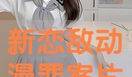 新恋敌在线观看,在线浪漫邂逅，揭秘现代都市爱情战局