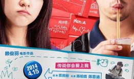 风高夜黑在线观看,暗夜追凶，揭秘神秘悬案