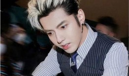 吴亦凡事件爆料细节视频,惊人内幕揭露娱乐圈隐秘面纱