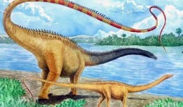 网红吃瓜恐龙图片,揭秘网络红人的趣味瞬间