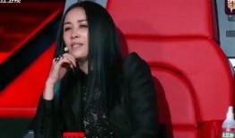 最新爆料那英过往视频播放,揭秘歌手背后的故事与风采