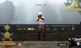 吃鸡外服爆料视频,精彩瞬间与战术解析