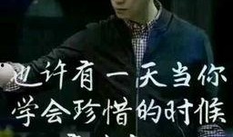 王大锤爆料直播视频全集,全集内容深度解析