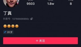 爆料博主被骂视频下载,视频下载引发网络争议