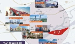 丽水网友爆料新闻报道事件,最新新闻报道事件引发关注