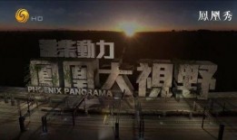 凤凰大视野在线观看,揭秘历史风云，在线观看尽享视听盛宴