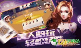 官方爆料柳神视频下载大全,官方爆料，海量精彩瞬间一网打尽