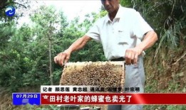文春爆料金菜园视频大全,文春爆料背后的精彩瞬间