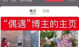 爆料摆拍视频违法吗,揭秘网络传播中的法律边界