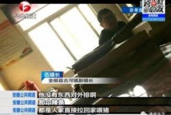 小白工厂爆料视频大全集,揭秘工厂幕后故事