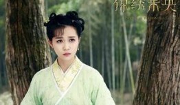 电视剧锦绣未央全集在线观看,宫廷权谋与爱情纠葛的华丽演绎