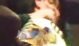 阡陌事件爆料视频,揭秘背后惊人真相，视频爆料引发社会热议