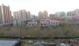 石家庄桥西区最新爆料,揭秘石家庄繁华背后的故事