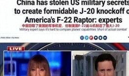 法国专家爆料视频