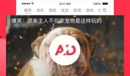 吃瓜澄清视频下载网站免费,一键获取真相，畅享无界视听盛宴
