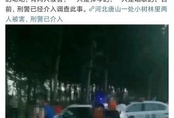 唐山事件的最新爆料,揭露暴力冲突背后的惊人真相