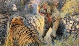 太原二虎爆料视频播放,揭秘幕后真相，引发网友热议