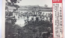 五原县爆料新闻,揭秘事件真相，关注民生动态