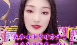 陈亚楠母亲爆料视频,陈亚楠母亲爆料视频揭露惊人内幕