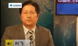 叶飞爆料真实吗视频播放,揭秘事件背后真相