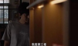 电视剧继父在线观看,家庭纠葛中的爱与救赎
