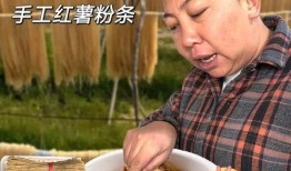 东北雨姐假粉条最新爆料