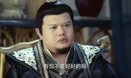 奸臣在线观看神马,权谋巅峰，暗流涌动的宫廷风云